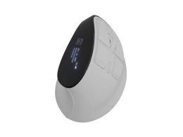 Natec Mysz bezprzewodowa Natec Euphonie Pro wertykalna BT 5.0 2400DPI cicha programowalna biała