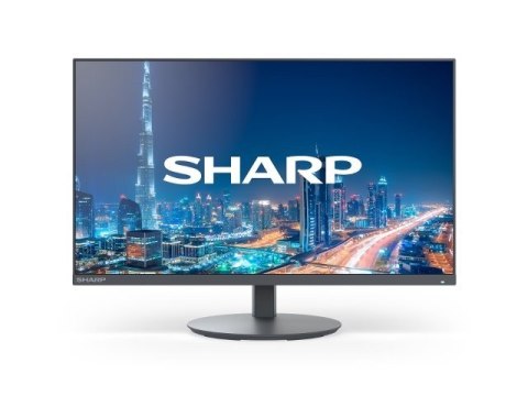 Sharp Monitor MultiSync DD-E224F 22 Czarny