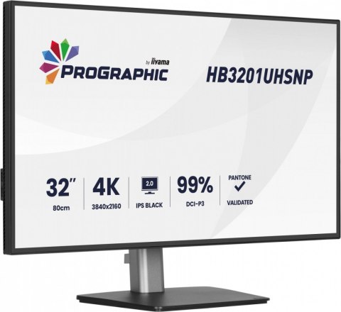IIYAMA Monitor 31.5 cala ProGraphic HB3201UHSNP-B1 4K,IPS BLACK 2.0,450cd,VESA USB-c dock(PD:96W),HDMI,DP,DAISY/CHAIN,4xUSB,RJ45,3000:1