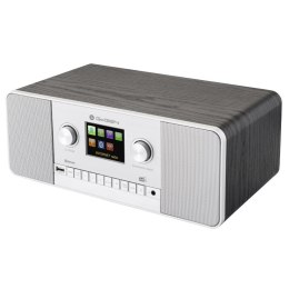 GoGEN Radio internetowe GoGEN - IR257BTDAB