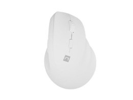 Natec Mysz bezprzewodowa Natec Crake 2 Bluetooth 5.2 + 2.4GHz 2400DPI wertykalna biała